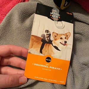 Squirrel Pirate pet costume from Target